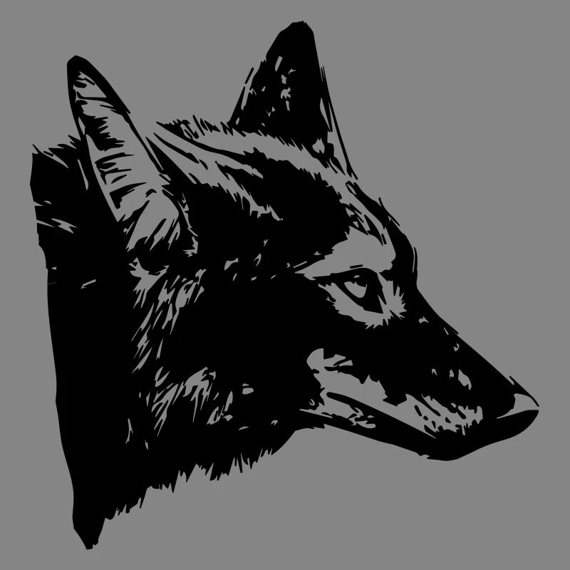 coyote