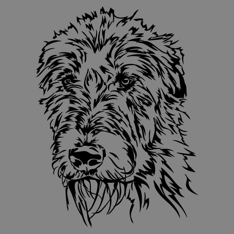 IRISH WOLFHOUND Irischer Wolfshund Wilsigns Hunde