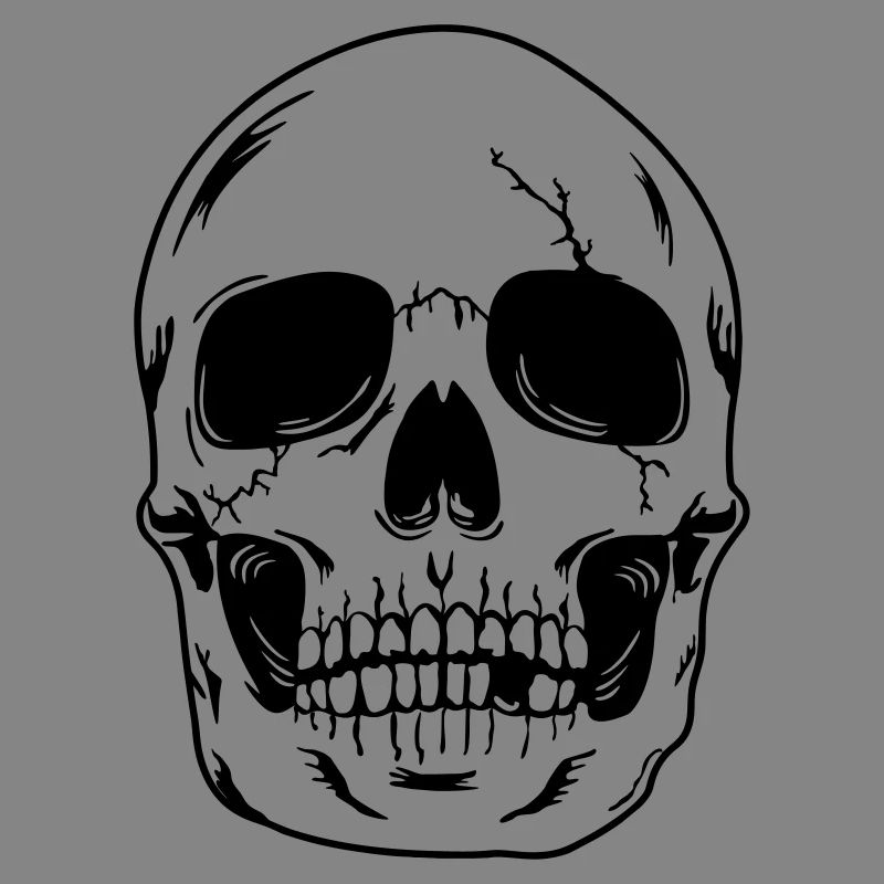 Skull head of skeleton