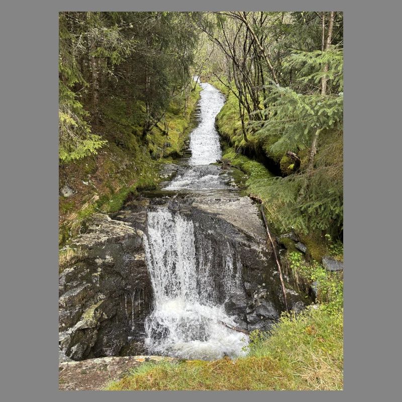 Nature Park Waterfall Design