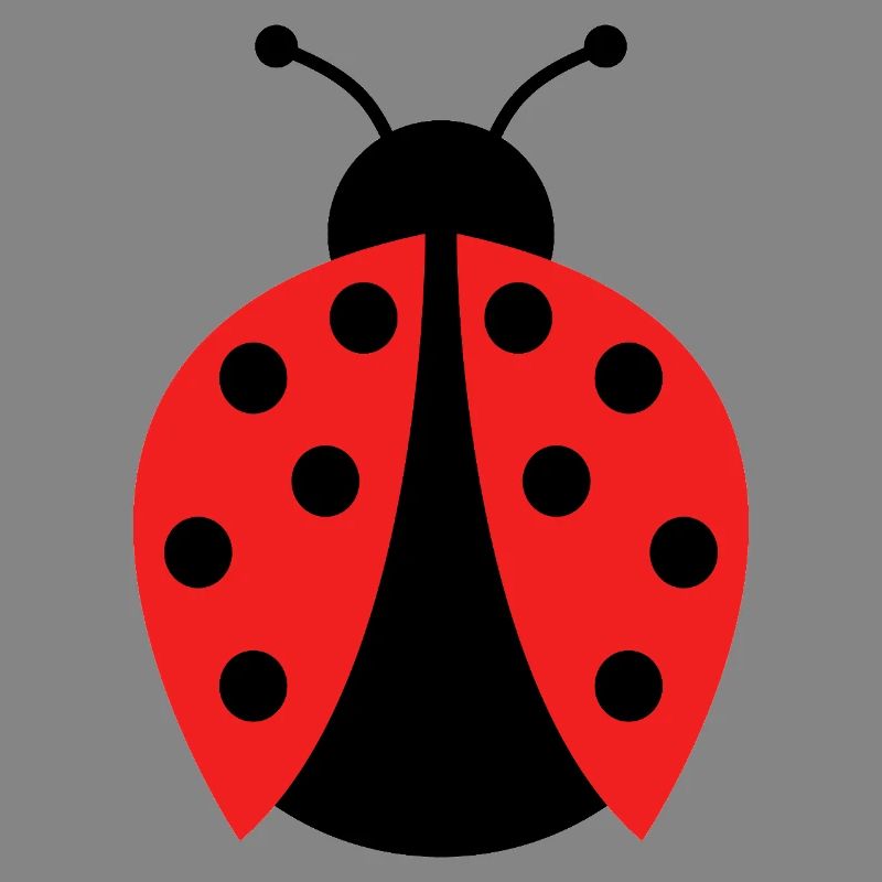 ladybug