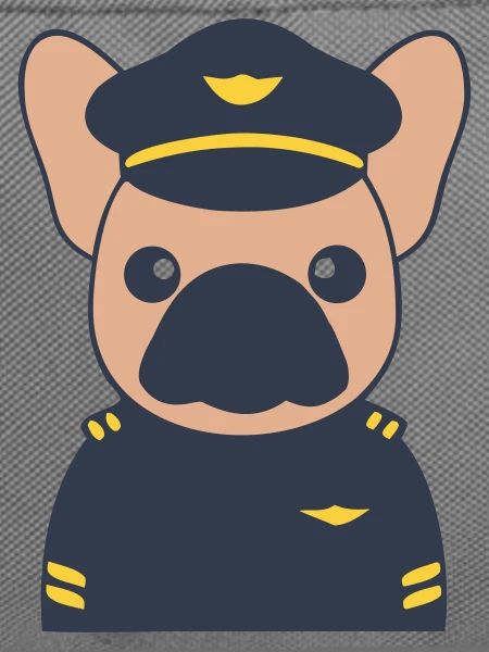 Frenchie Pilot Kapitän Uniform