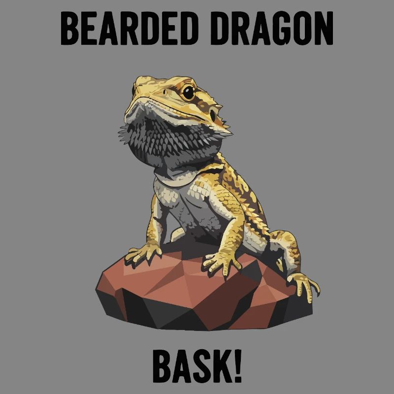 Agame Bearded Lizard Bask Bearded Dragon