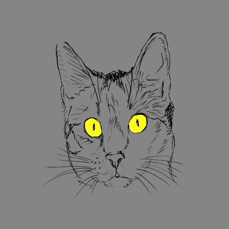 Chat, gueule de bois, amant de chat, tête de chat, oeil de chat