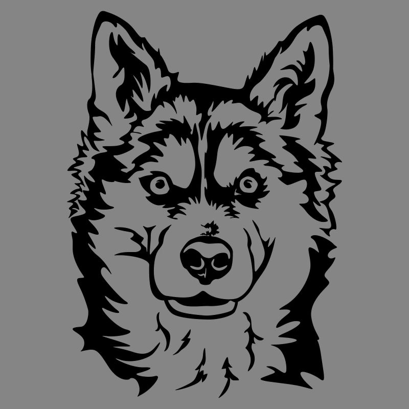 Husky Head