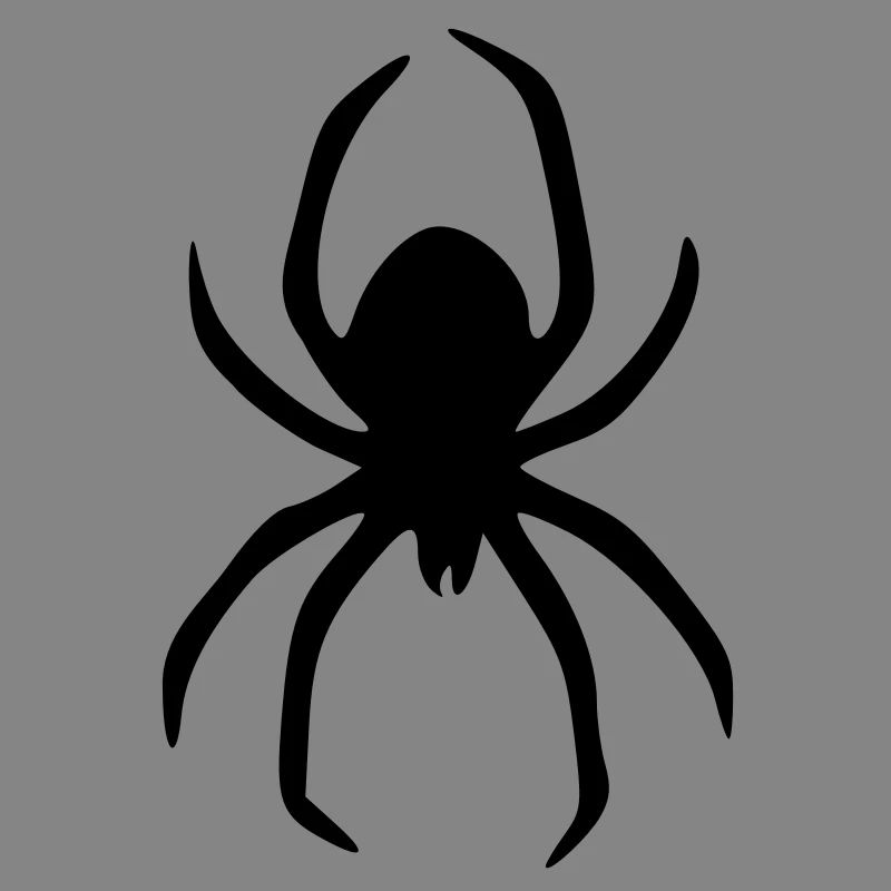 spinne