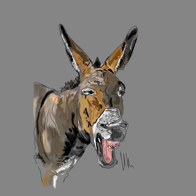 Esel Donkey Âne