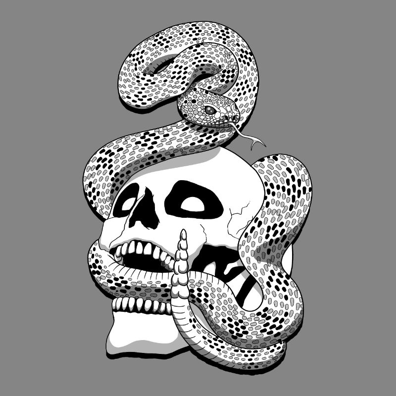 Serpent à sonnette et crâne