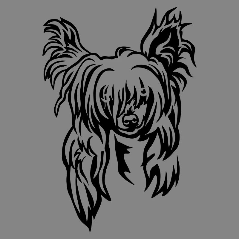 Chinese Crested Head