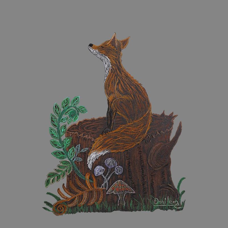 meditative fox