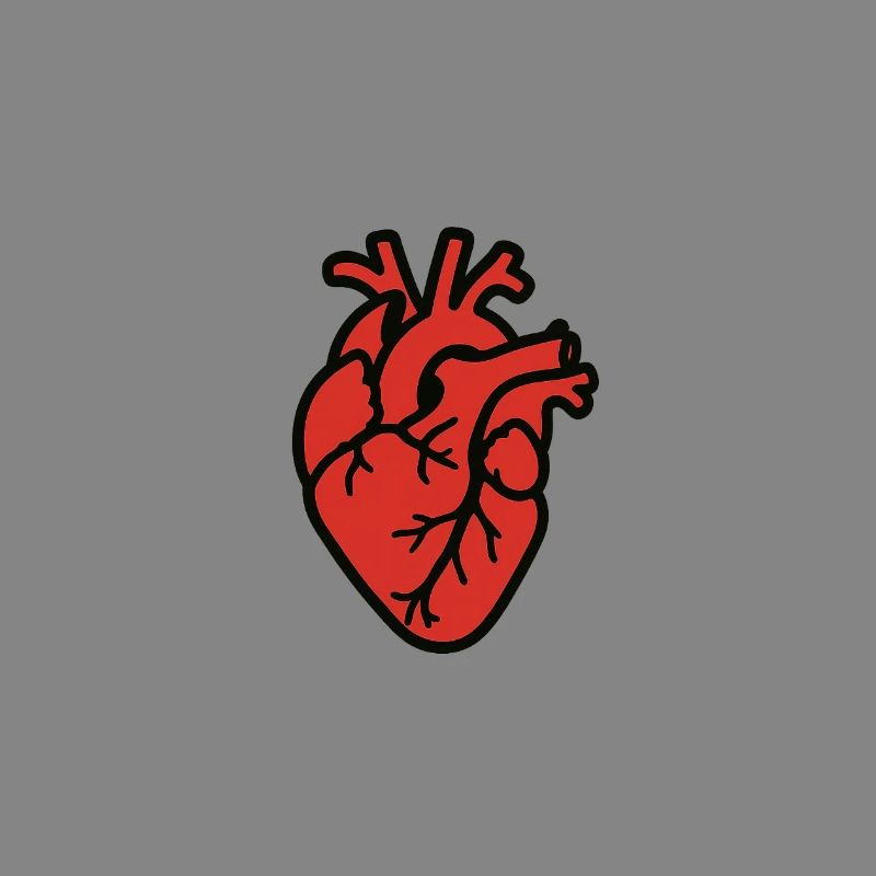 cuore_anatomico
