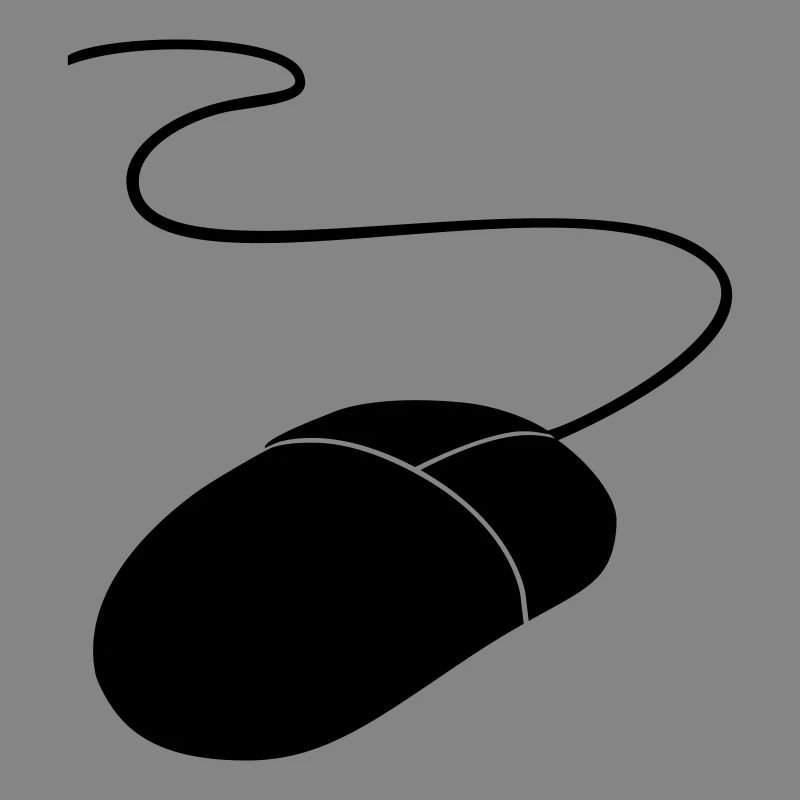 computer mouse