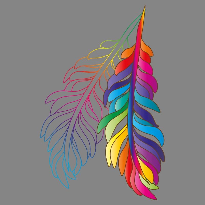 Rainbow feathers – colourful boho design