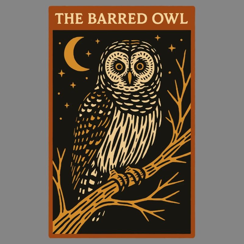 Nighttime Barred Owl Illustration