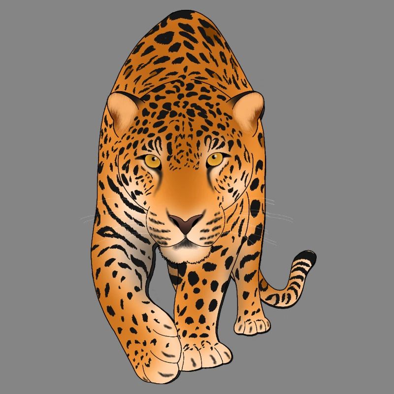 Leopard Big Cat