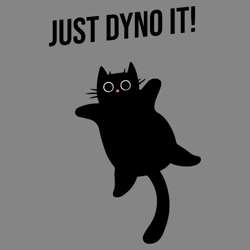 Cat climbs dynamically climbing route Dyno boulder