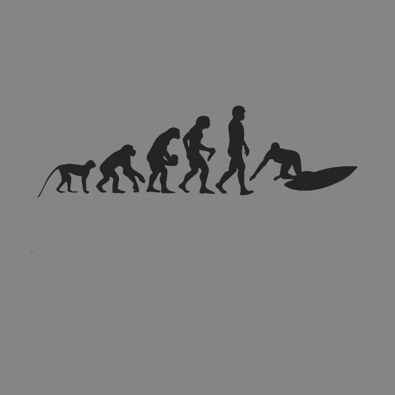 Surfen Evolution