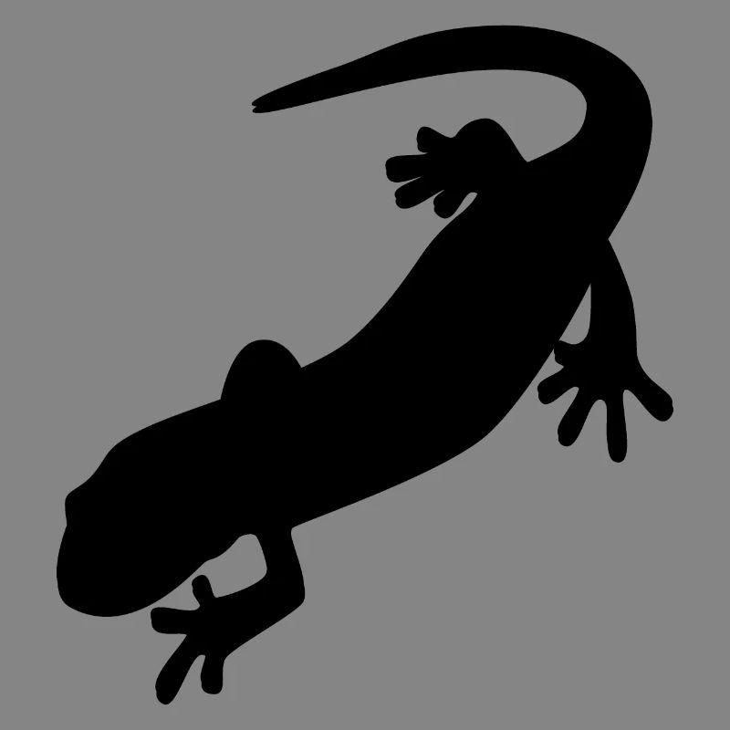 Salamander