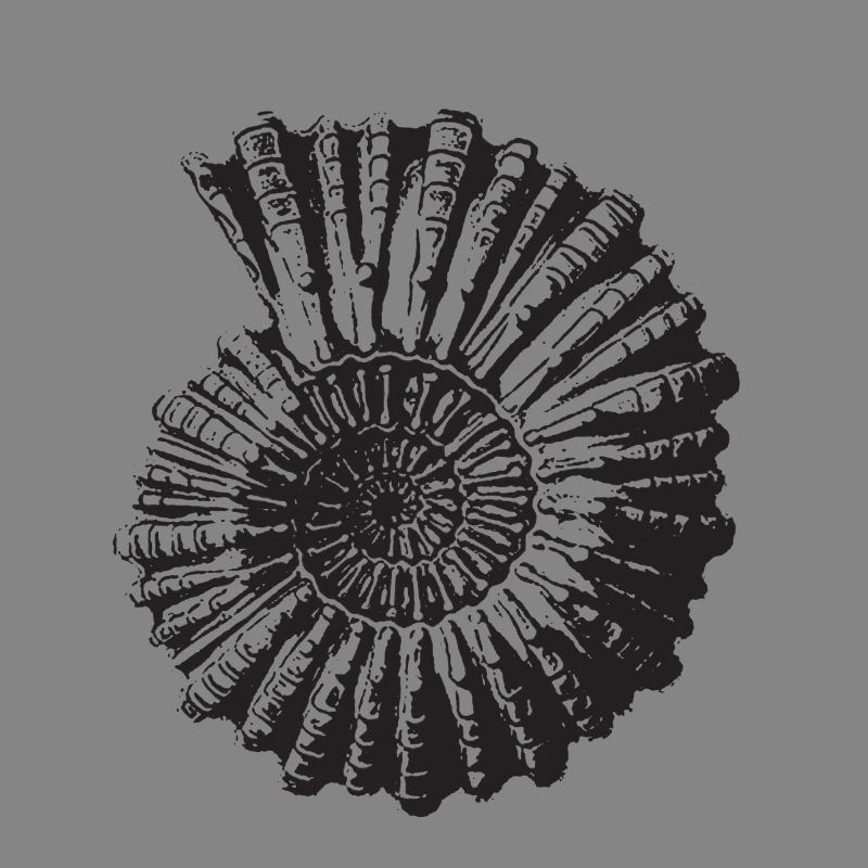 Stone snail retro
