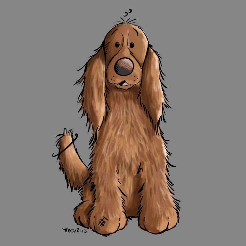 Cocker spaniel anglais