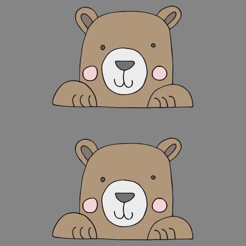 Ours dans un sac double