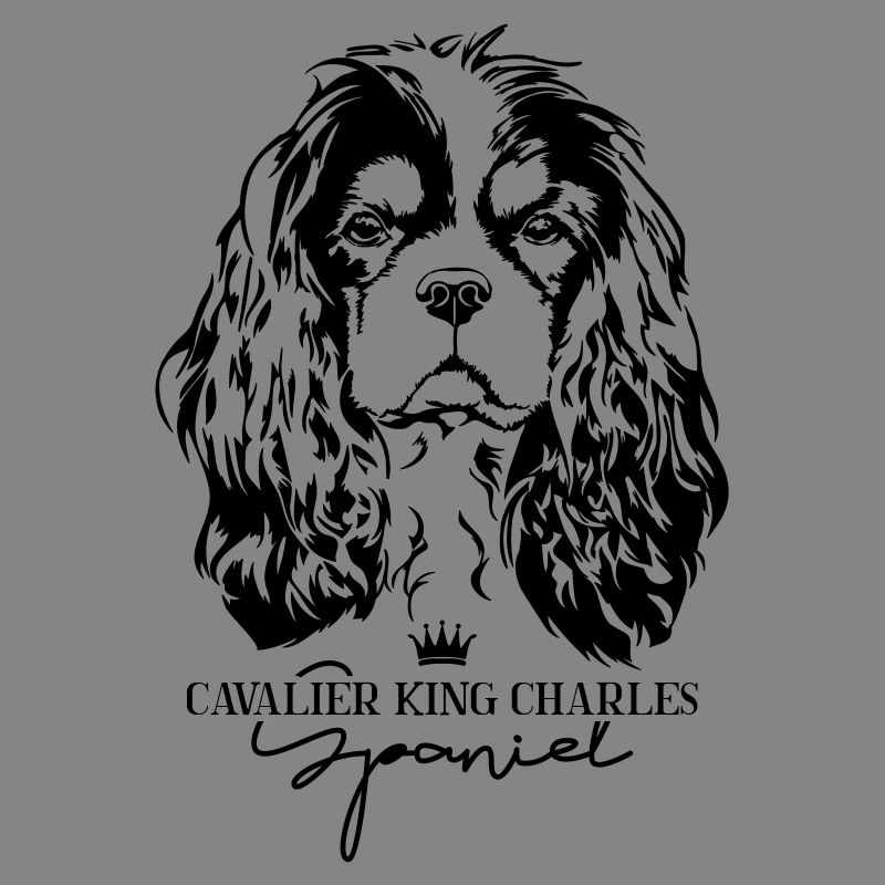 CAVALIER KING CHARLES SPANIEL chiens chien Wilsigns