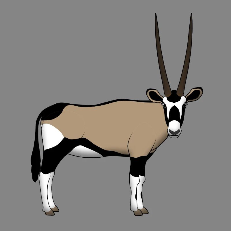 Oryx head front