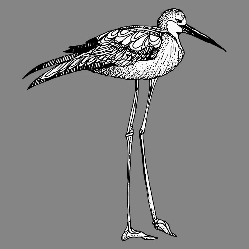 Vogel