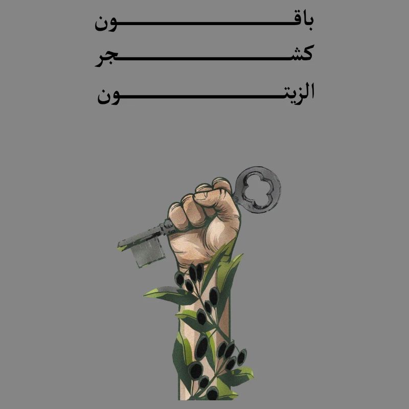 Solid like Oliven trees