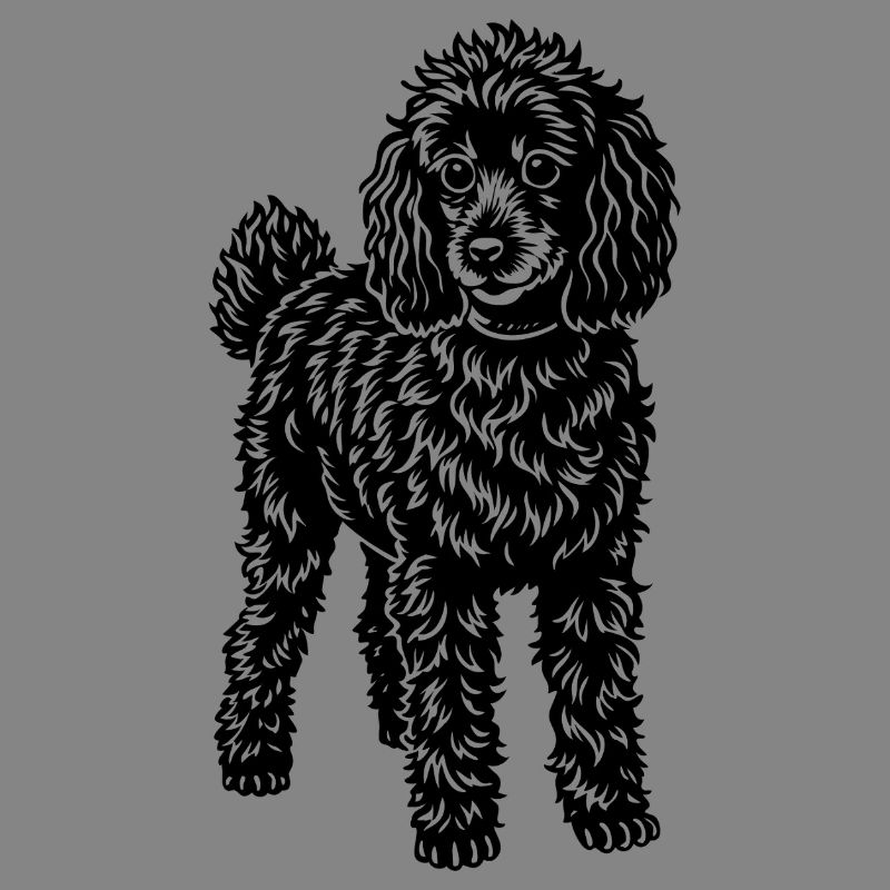 poodle