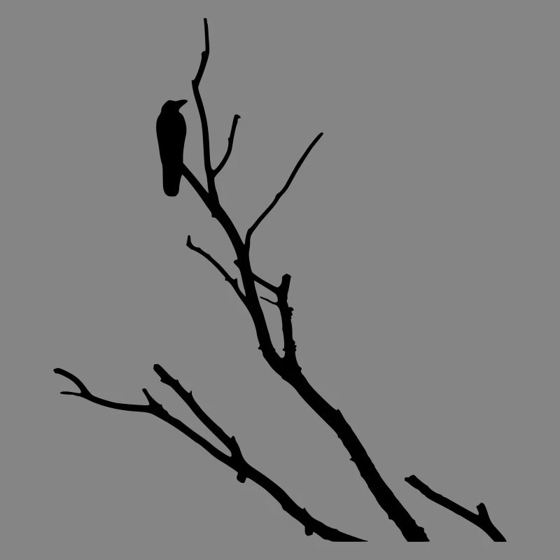 Raven on branch