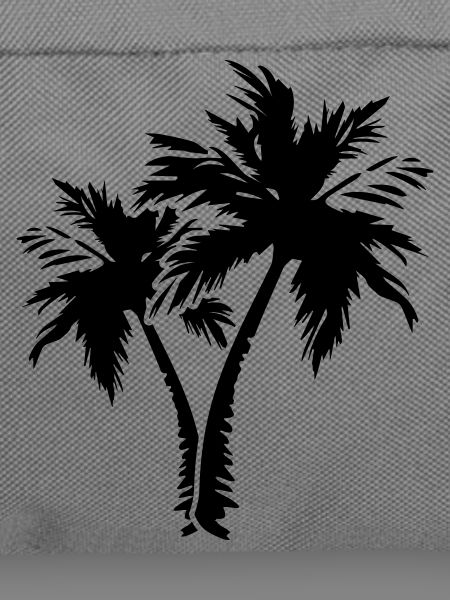 palm trees