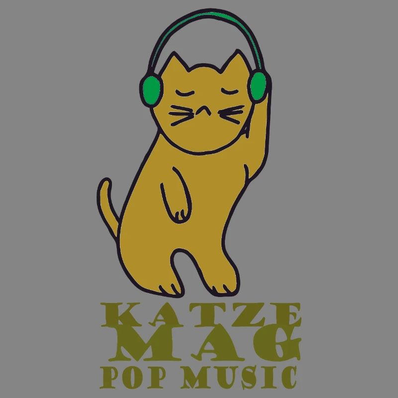 Cat likes pop music
