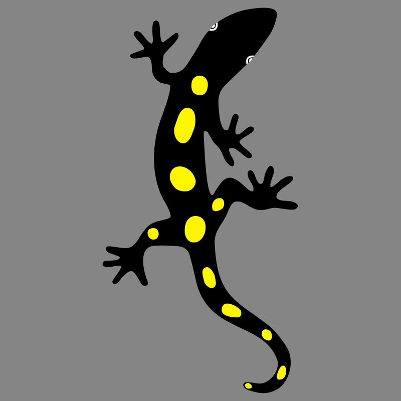 Lizard Salamander Gecko Fire Salamander