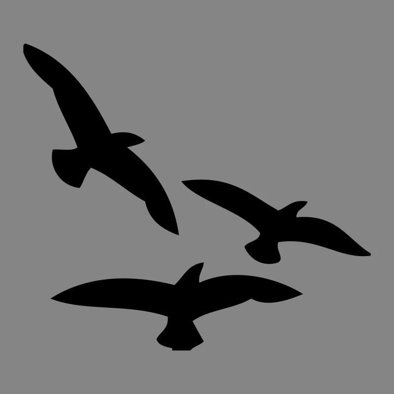 Birds
