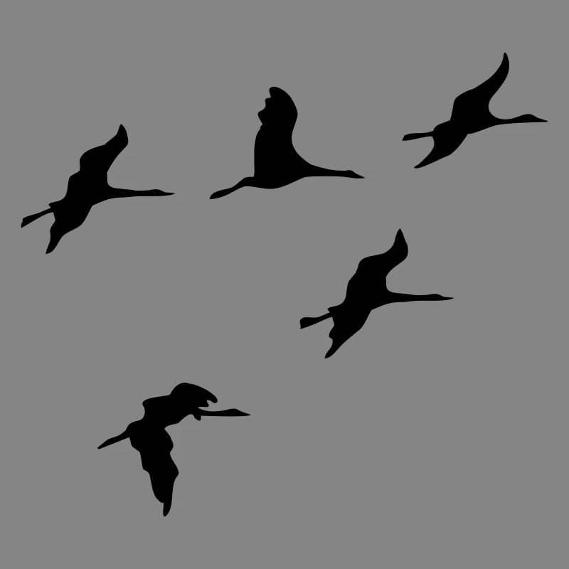 oiseau