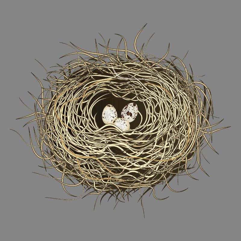 Vogelnest oder Osternest mit drei Vogel Eier