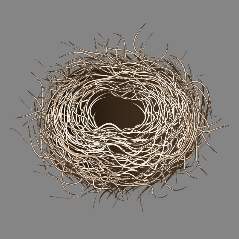 empty bird's nest or easter basket for spring