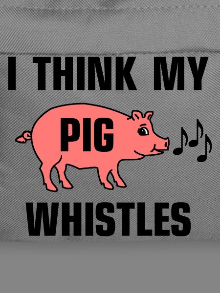 I think my pig whistles