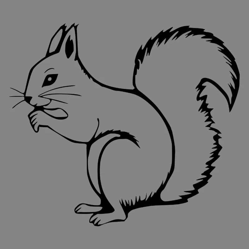 Eichhörnchen