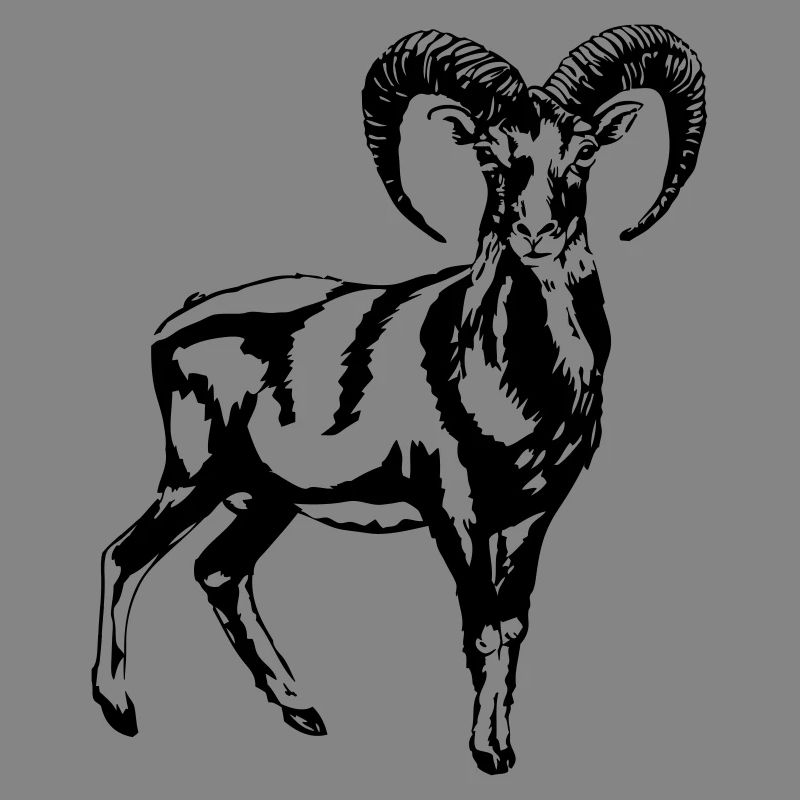 Mufflon
