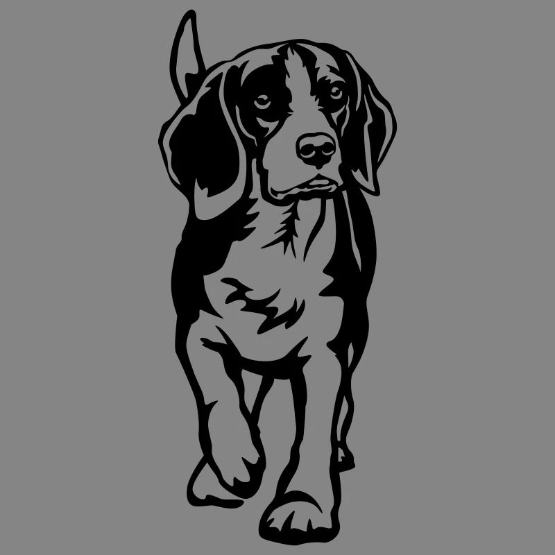 Beagle