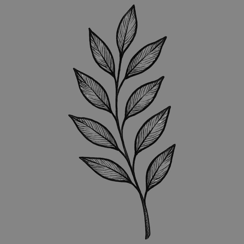 Black Leaves Gloss Pattern