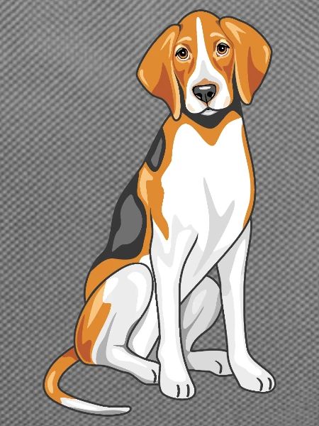 Sitting foxhound