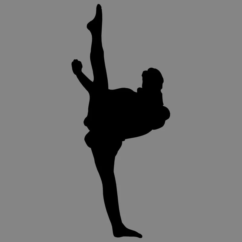 Karate oder Taekwondo High Kick