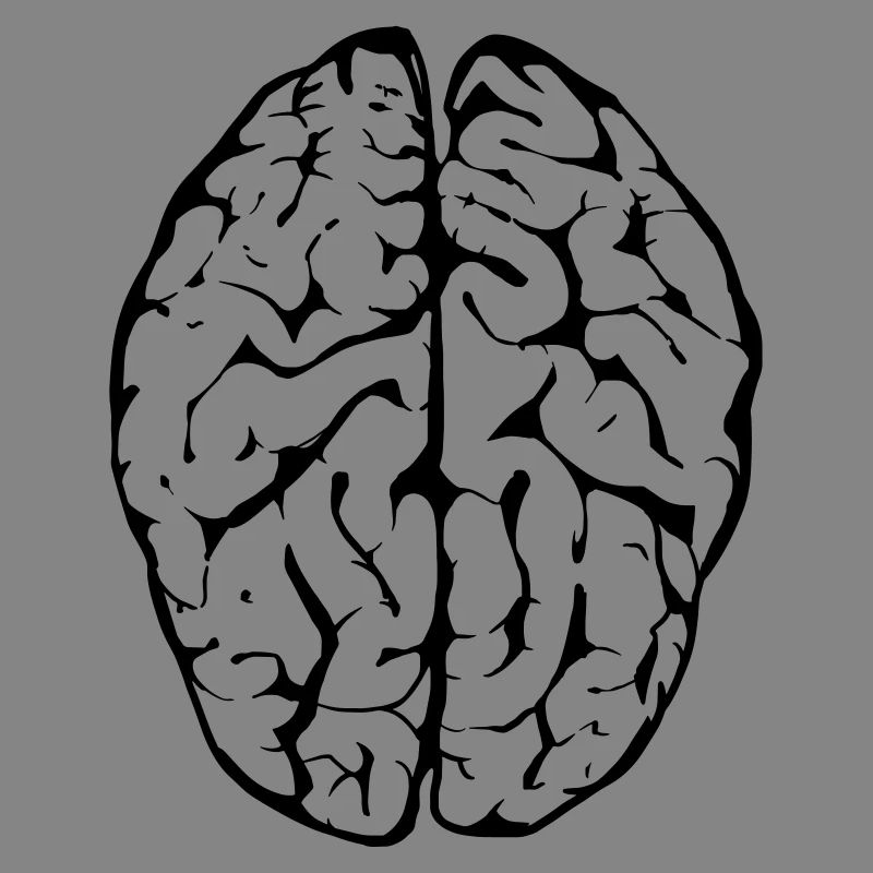 brain