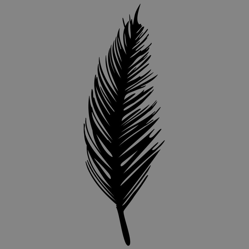 feather