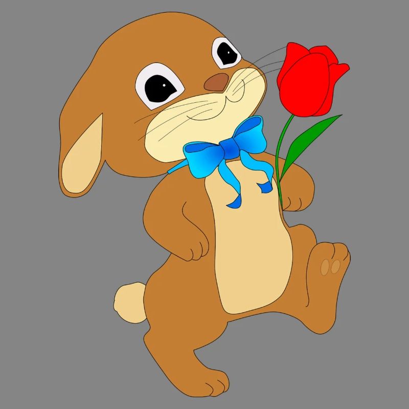 Rabbit