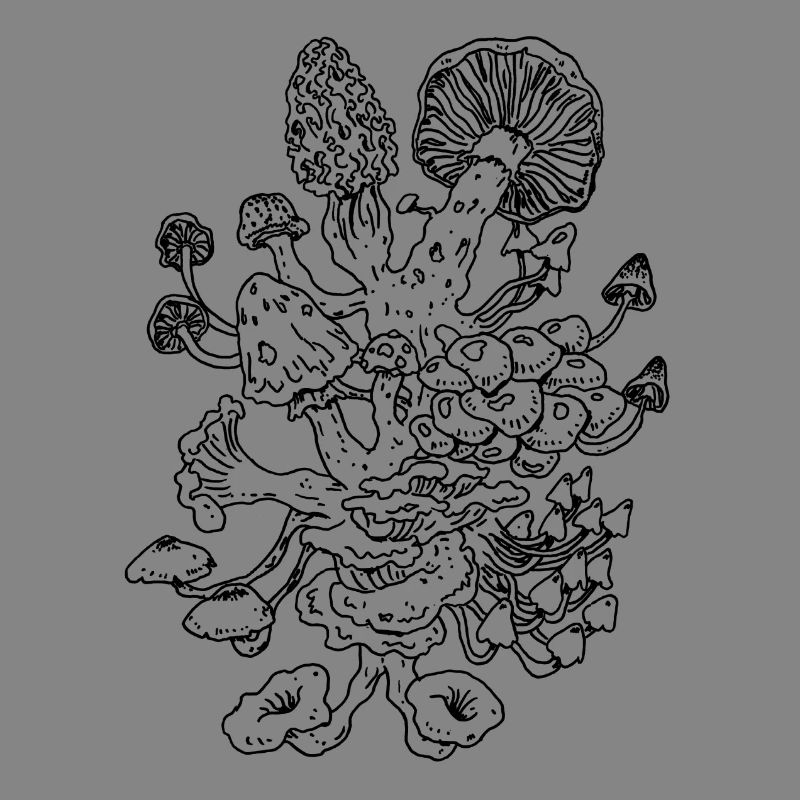 mushrooms