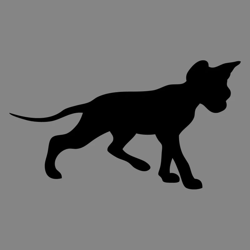 Sphynx - libre choix de la couleur
